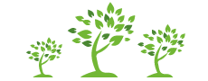 Alberi